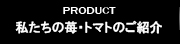 私たちの苺のご紹介